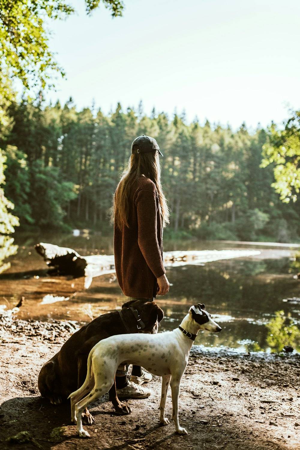 Orman kenarında sahibiyle iki köpek