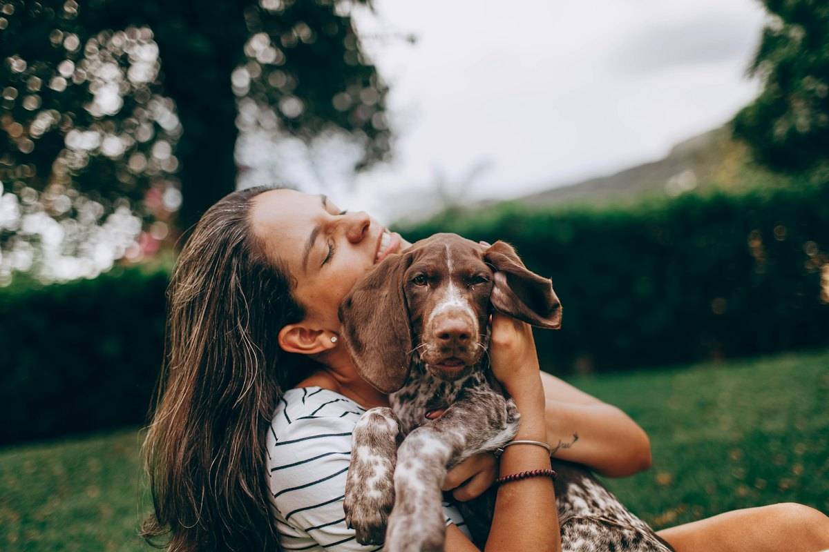 Sahibinin sarıldığı kahverengi benekli köpek